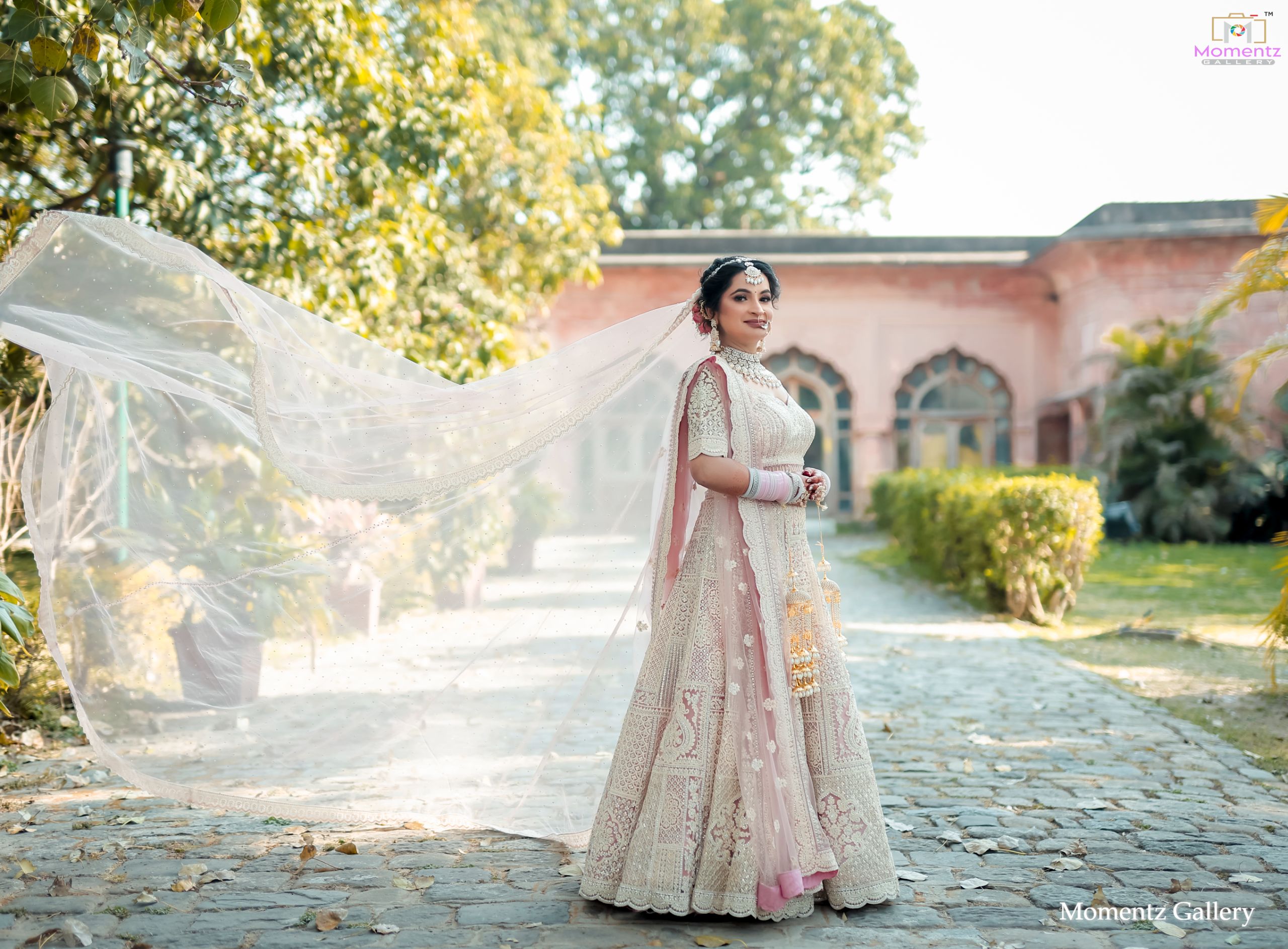 Curated Photography 1